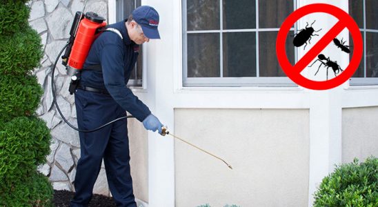 Ortahisar Fare İlaçlama böcek ilaçlama ve haşere kontrolü — ilaclama-tr.com